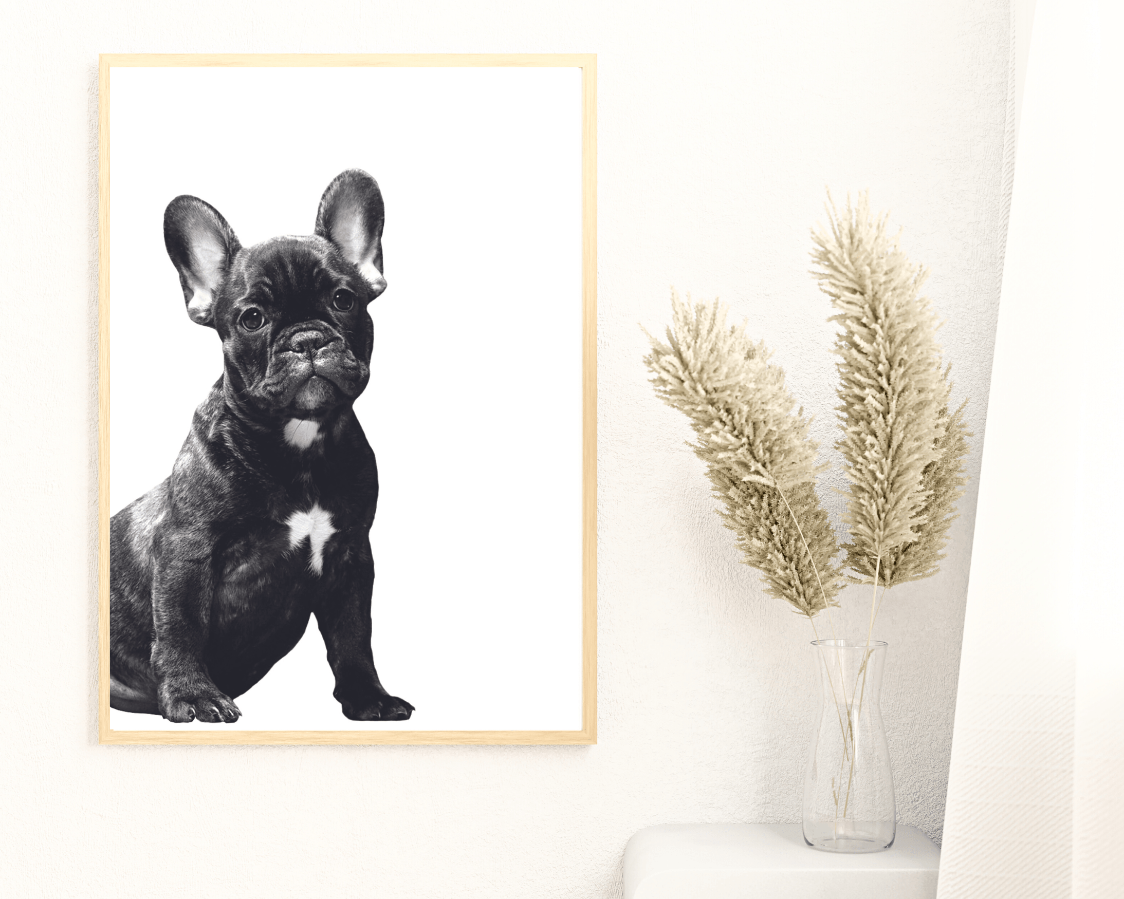Poster | Tierposter Hund | schwarz weiß | French Bulldogge Frenchie - Roo's Gift Shop