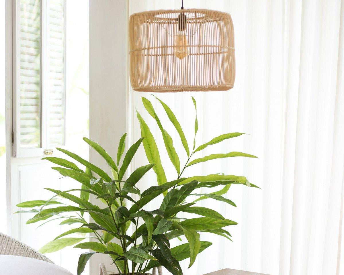 Rattanlampe | Boho Lampenschirm | Pendelleuchte LIKU (2 Größen) - Roo's Gift Shop