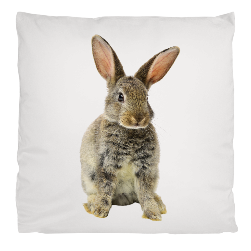 Flauschiges Hasenkissen Ostern | 40 x 40 cm | Kissenbezug ohne Füllung Printegy