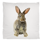 Flauschiges Hasenkissen Ostern | 40 x 40 cm | Kissenbezug ohne Füllung Printegy