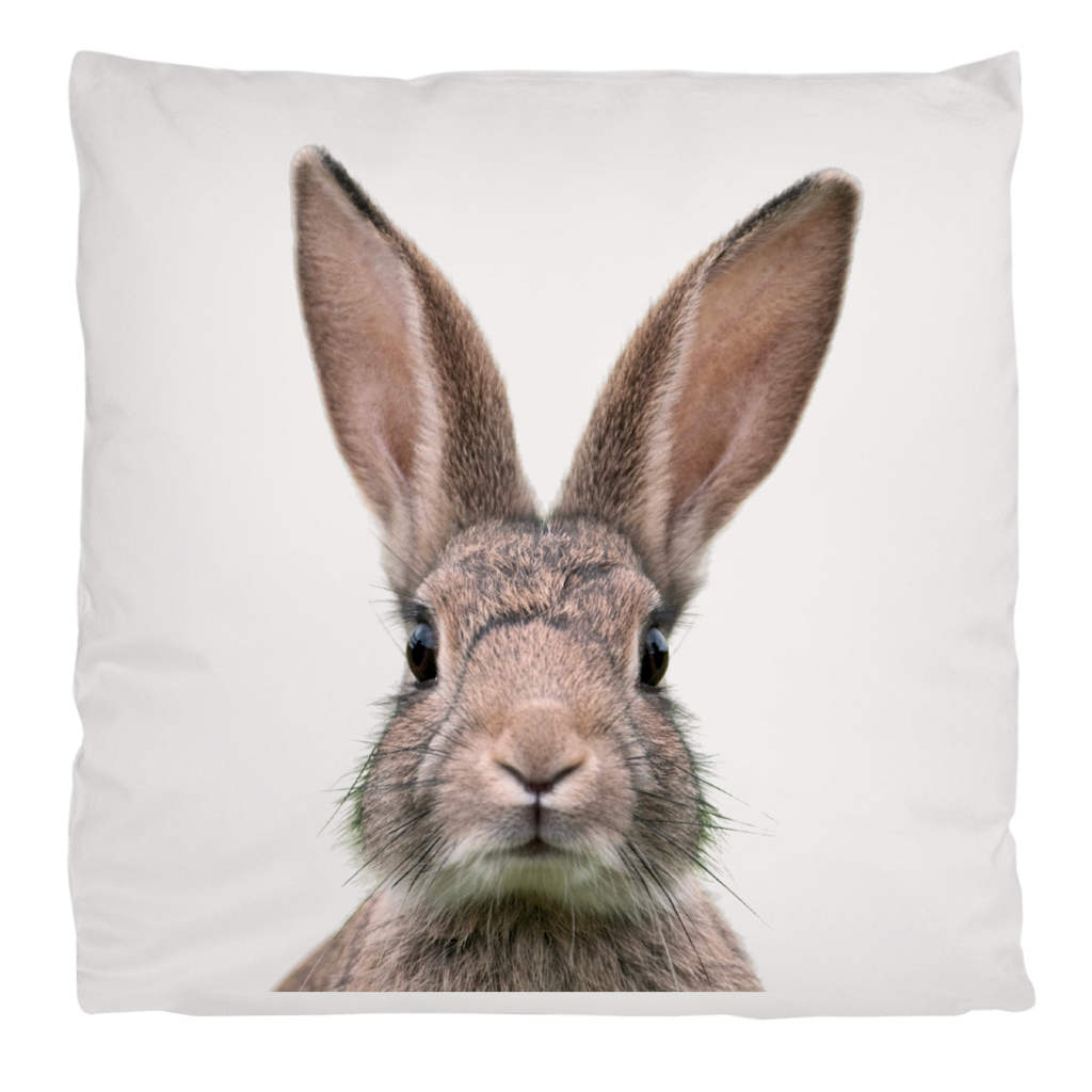 Flauschiges Hasenkissen Ostern | Bezug in 40 x 40 cm Printegy