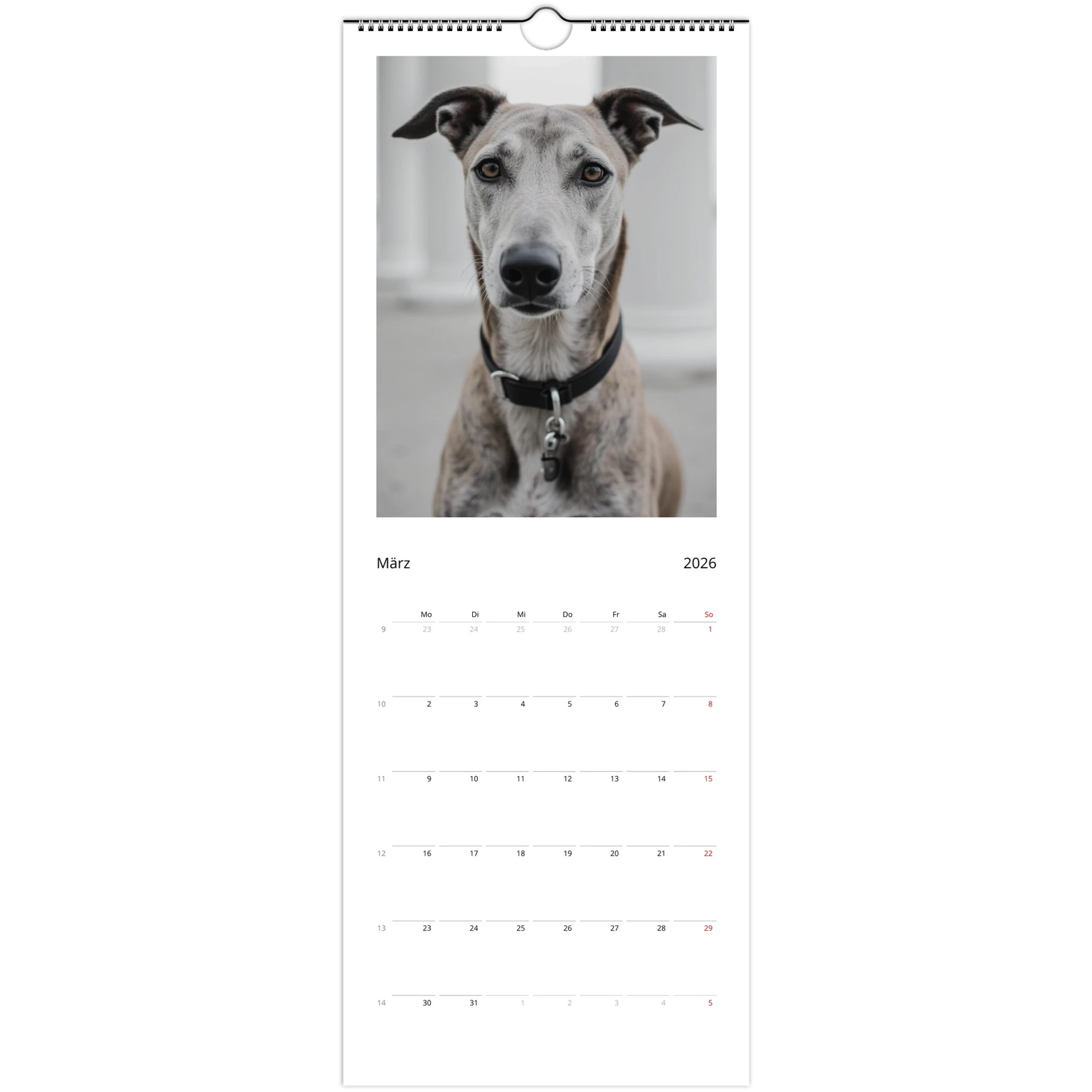 1cdab234-cd94-4402-941a-0e9d25694282