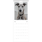 1cdab234-cd94-4402-941a-0e9d25694282