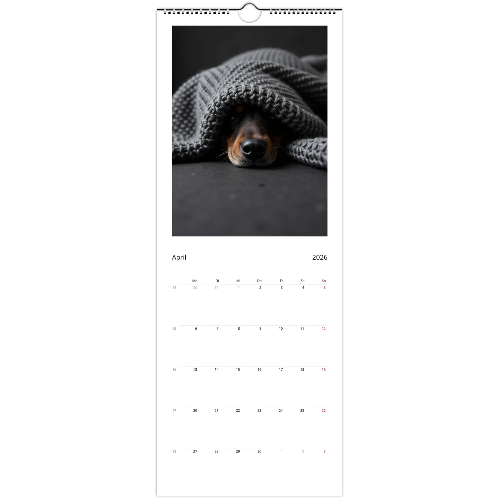 260422c9-4a0a-4179-bf95-1495caf8aadd