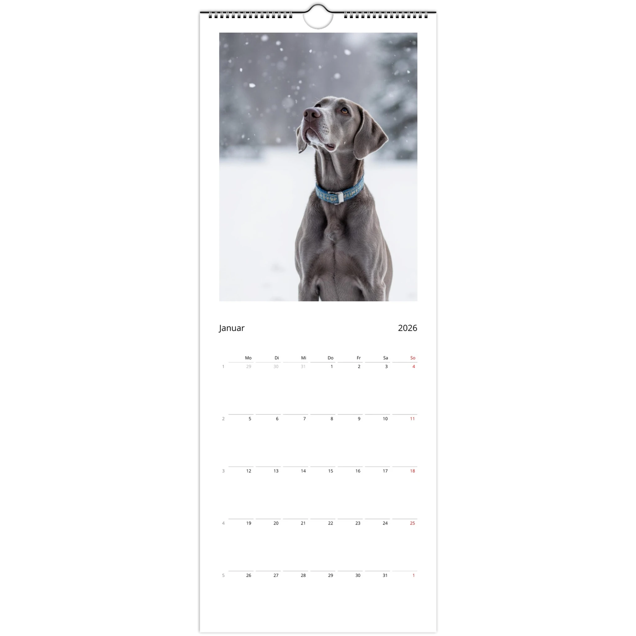 26e329a7-4850-44c0-b0bb-982e7ef12a3c