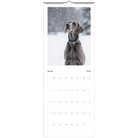 26e329a7-4850-44c0-b0bb-982e7ef12a3c