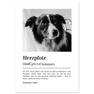 2cc422ca-70cc-4b3f-937f-36988e7ccdf8