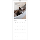 8b45ef22-197f-410a-84fd-d170da06e2cd