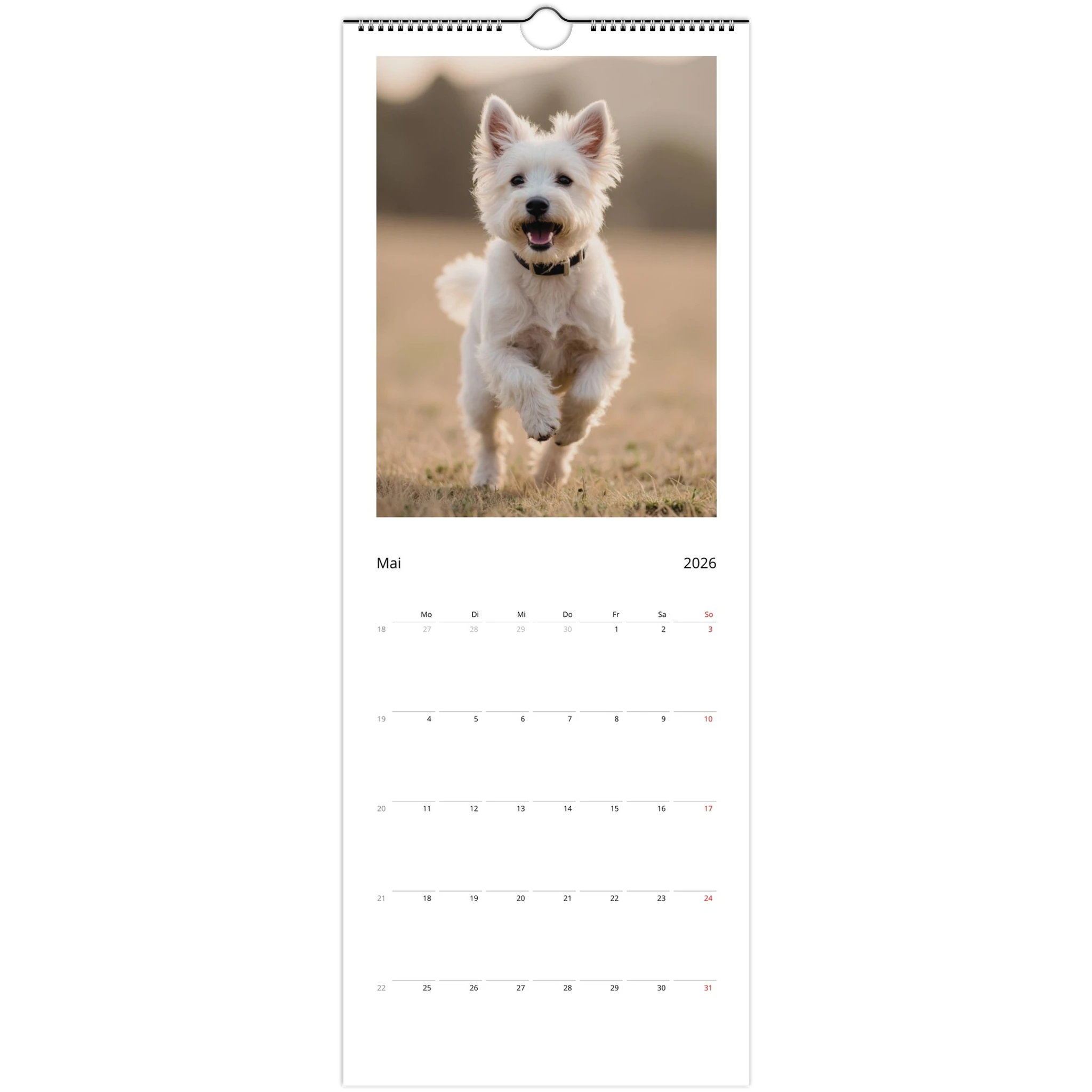 9cac7050-4c1d-4de3-bd34-30ecf2a1c6fc