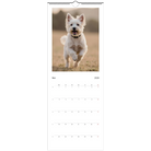 9cac7050-4c1d-4de3-bd34-30ecf2a1c6fc