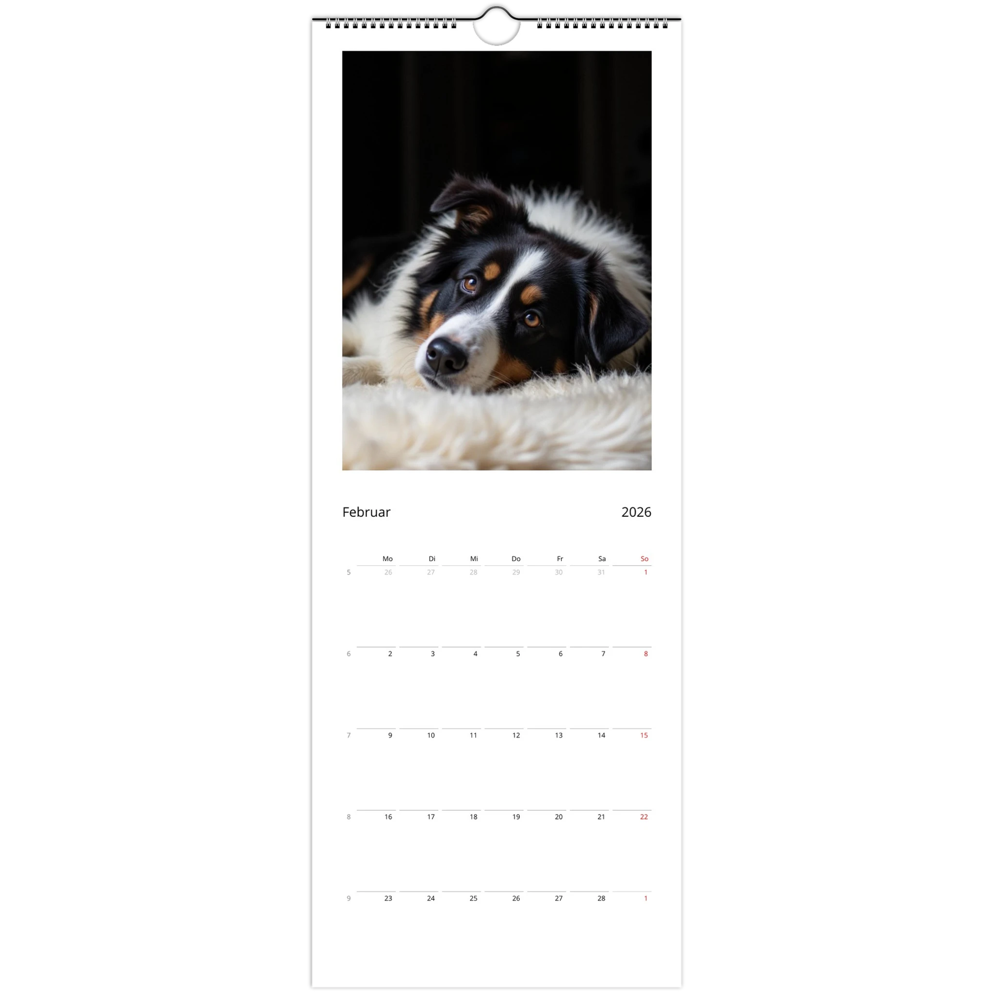 aced8984-d37e-4842-ad28-b26a02b392e4