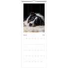 aced8984-d37e-4842-ad28-b26a02b392e4