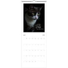 b178ad11-caf6-473a-bab5-5cabc5724a79