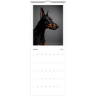 b47a6fb0-5404-4a8c-9cd7-cf7d69f1c2cc