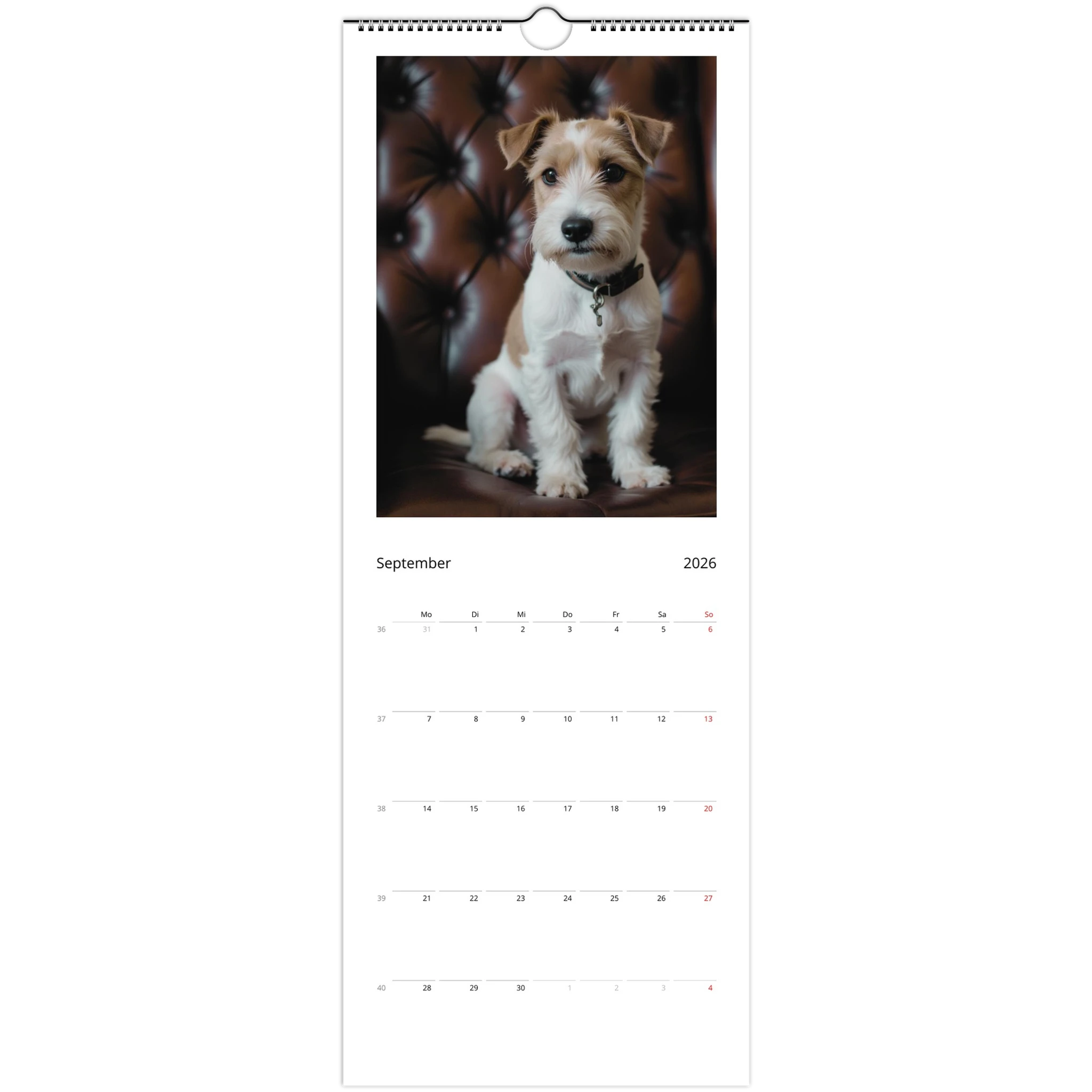 b68a5435-3e12-4406-affa-fd4619202859