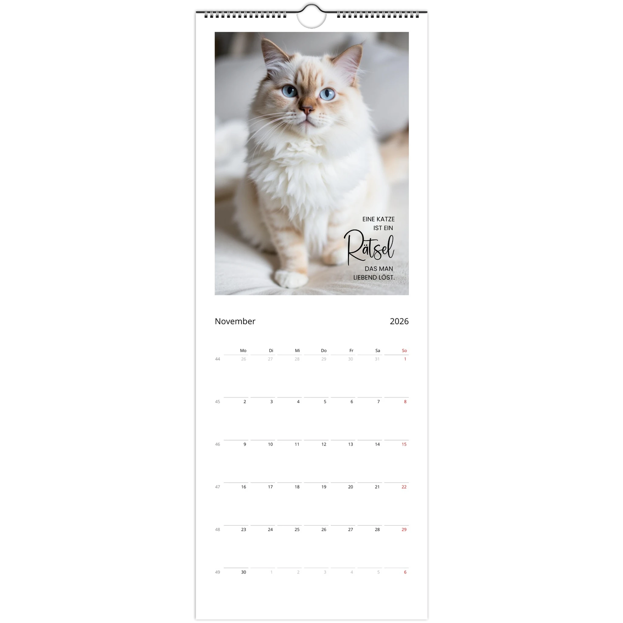 ca971448-6bfc-4563-b796-3654551b3647