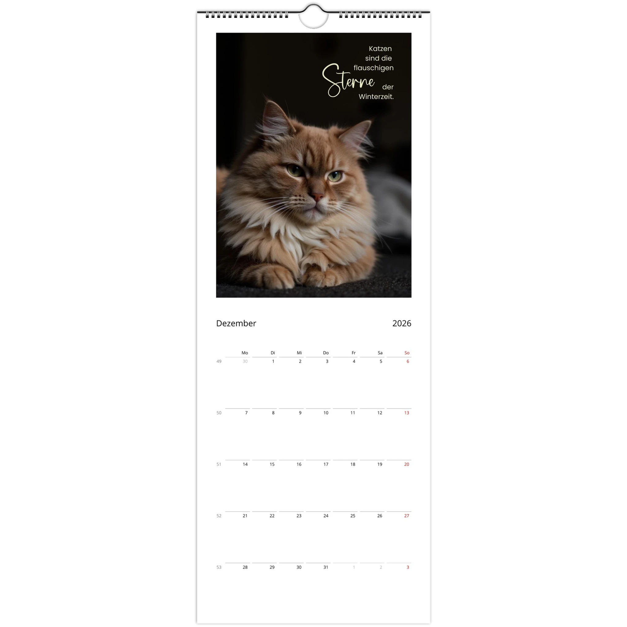 ccf48e07-e631-4b32-9127-ecc1c4ecaeaf