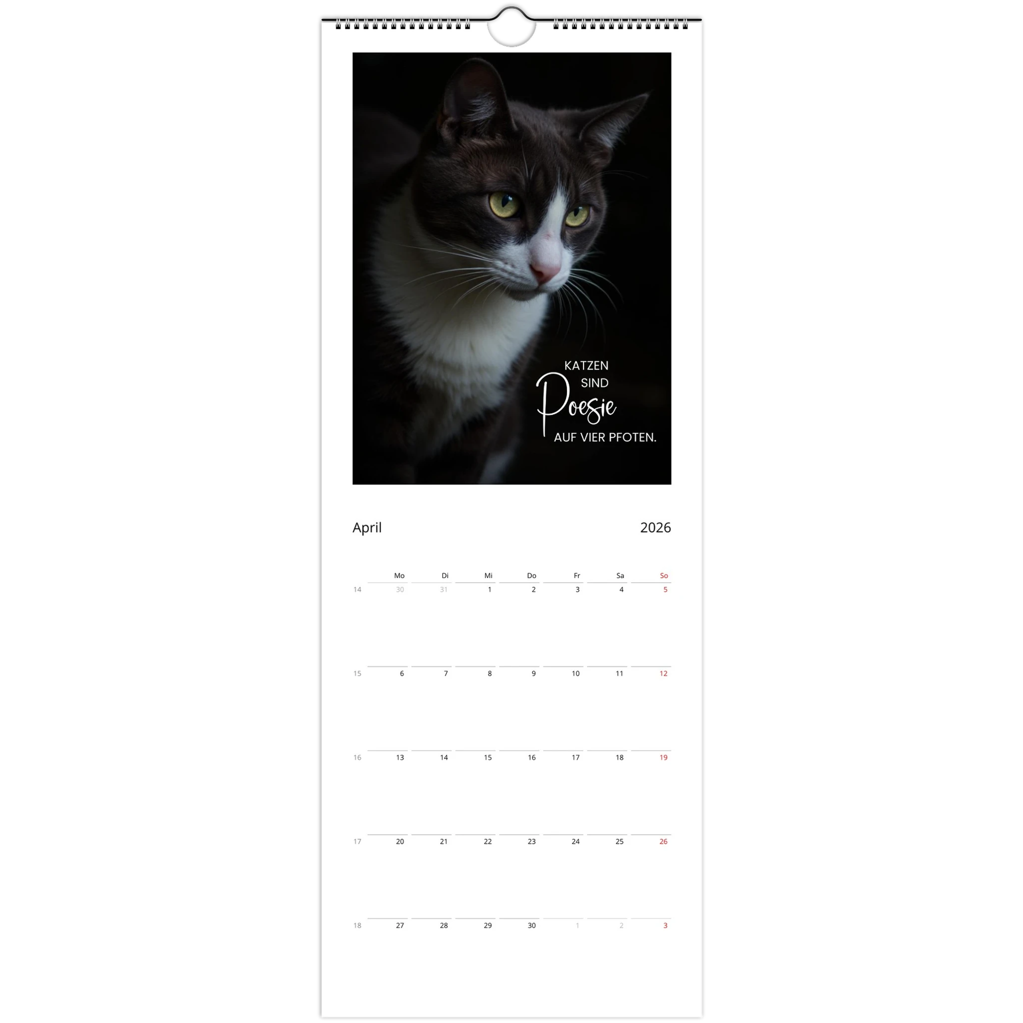 dc7d374e-81c7-486a-9bae-820b127de3e8