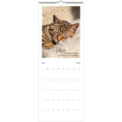 df034cde-589c-4c5c-b19d-f9d967df440d