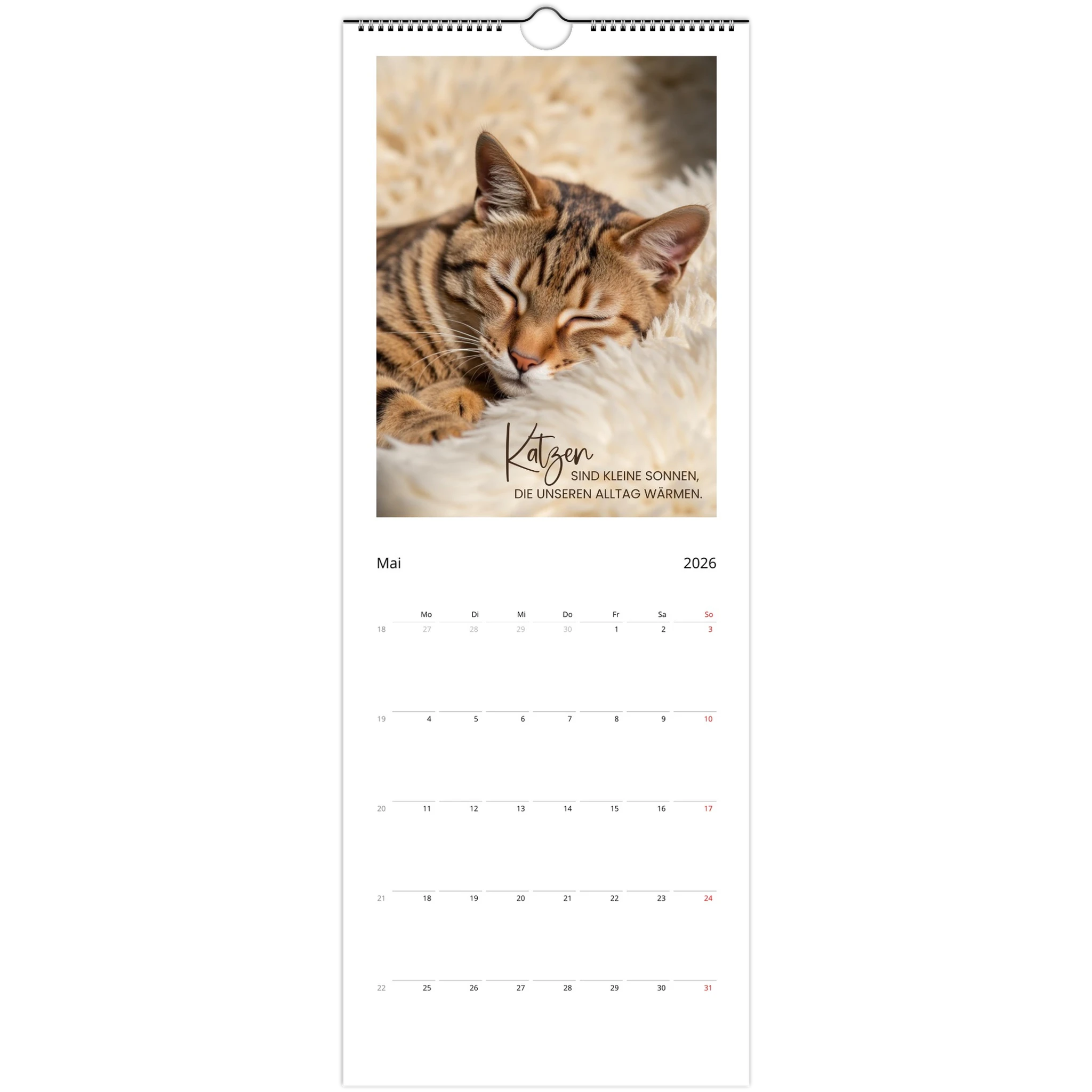 df034cde-589c-4c5c-b19d-f9d967df440d