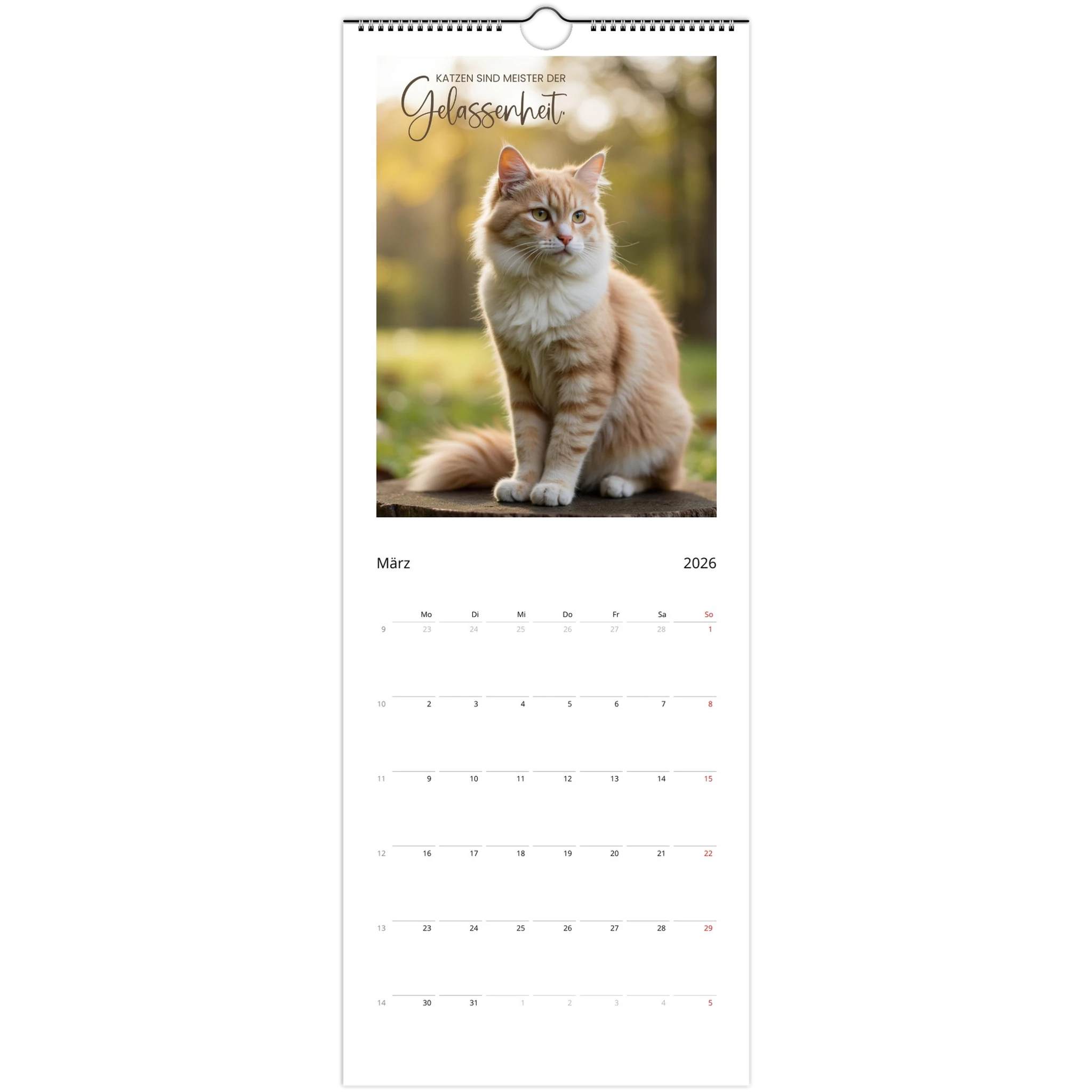 e7e811b4-2d6d-45ed-b0fc-fdbb29ba3e8b