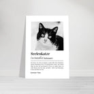 fc84b369-e942-47d7-8d52-28b413d01d6b