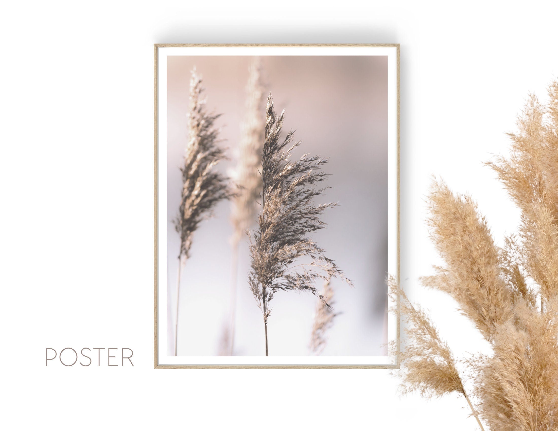 Poster | Blumen | natur | beige | Pampas Gräser Reed | zarte dezente Farben | Boho Naturposter
