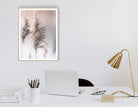 Poster | Blumen | natur | beige | Pampas Gräser Reed | zarte dezente Farben | Boho Naturposter