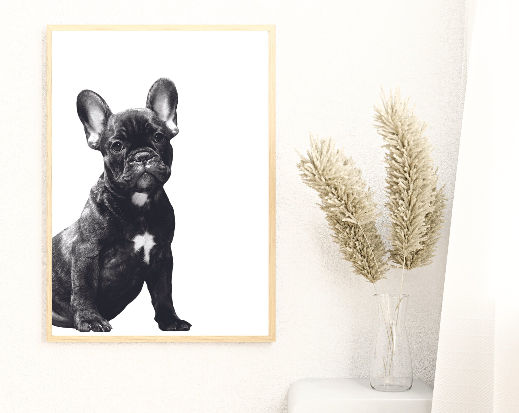 Hunde Poster | schwarz weiß | Foto Kunstdruck | French Bulldogge Frenchie