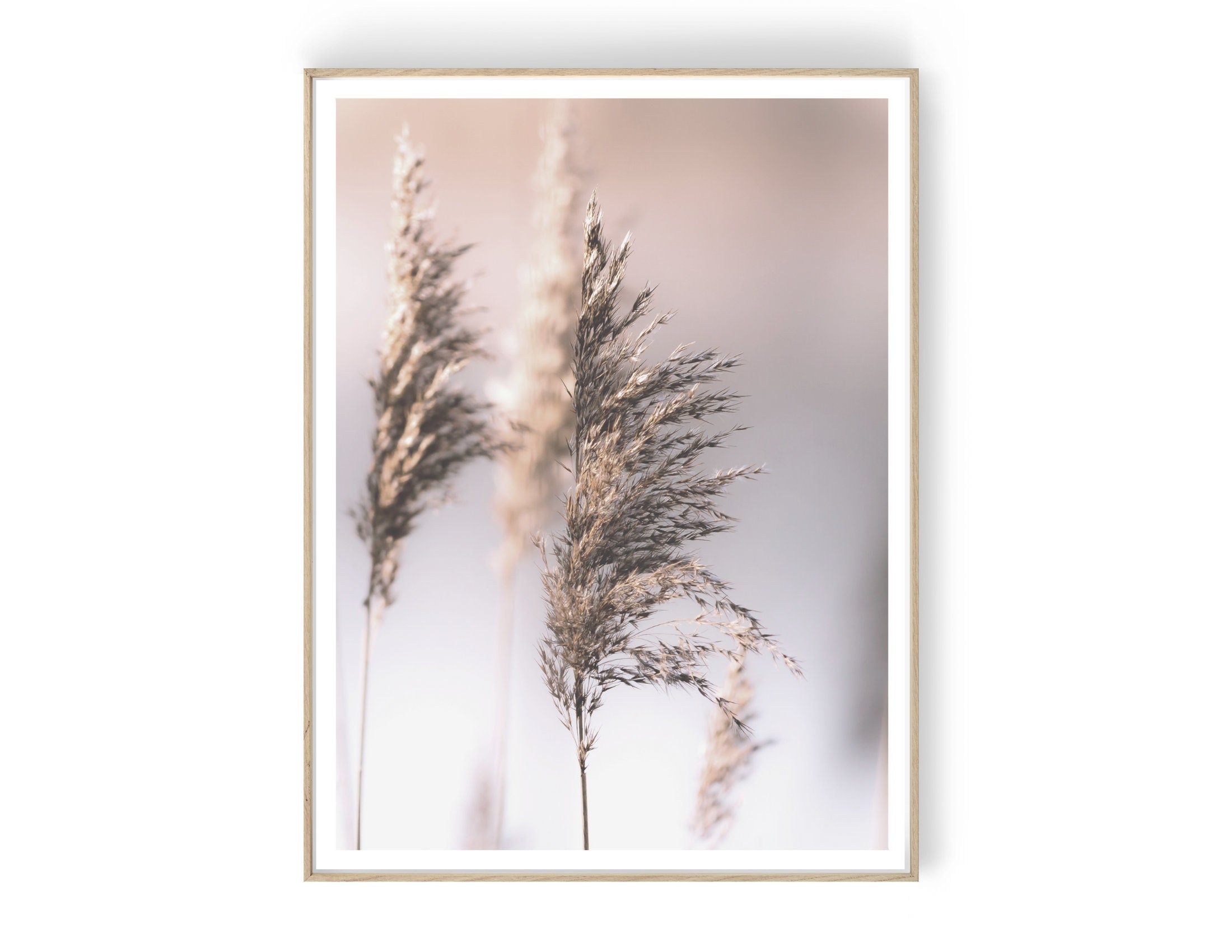 Poster | Blumen | natur | beige | Pampas Gräser Reed | zarte dezente Farben | Boho Naturposter