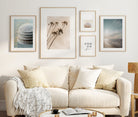 Poster Serie Sanddollar als 5er Set | Digitaler Download | 5 Poster (diverse Formate)