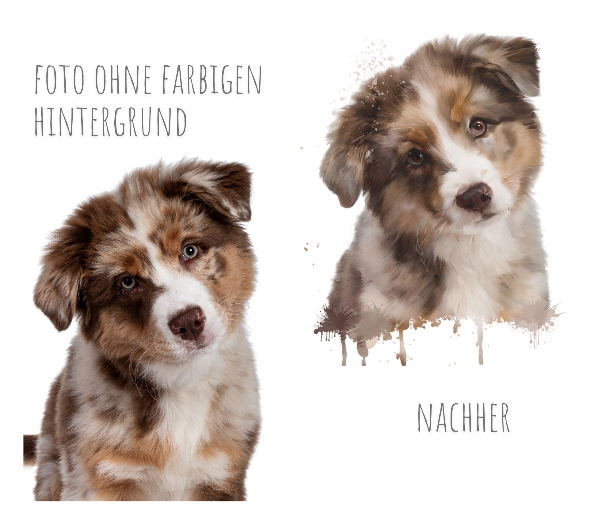 Heimtierausweis mit Aquarell Portrait von Deinem Tier | nach Foto | personalisierte Schutzhülle | Name