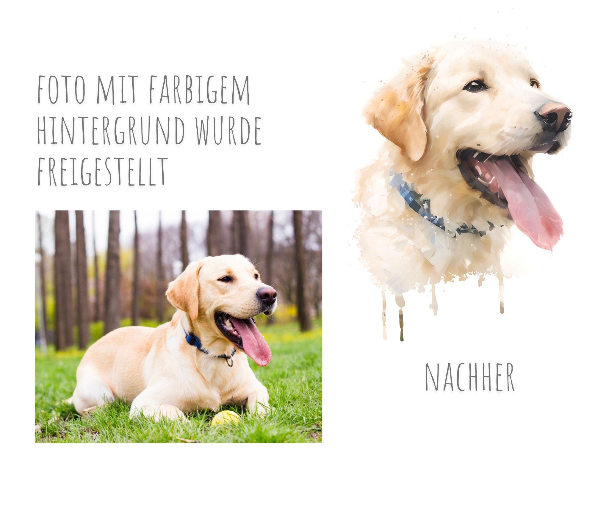 Individuelles Tierportrait | nach Foto | personalisiert | Digitaler Download