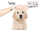 Hunde Tattoos | temporäre Tattoos | Set mit 24 Motiven | Dog Mom Hundepfote Herz Paw