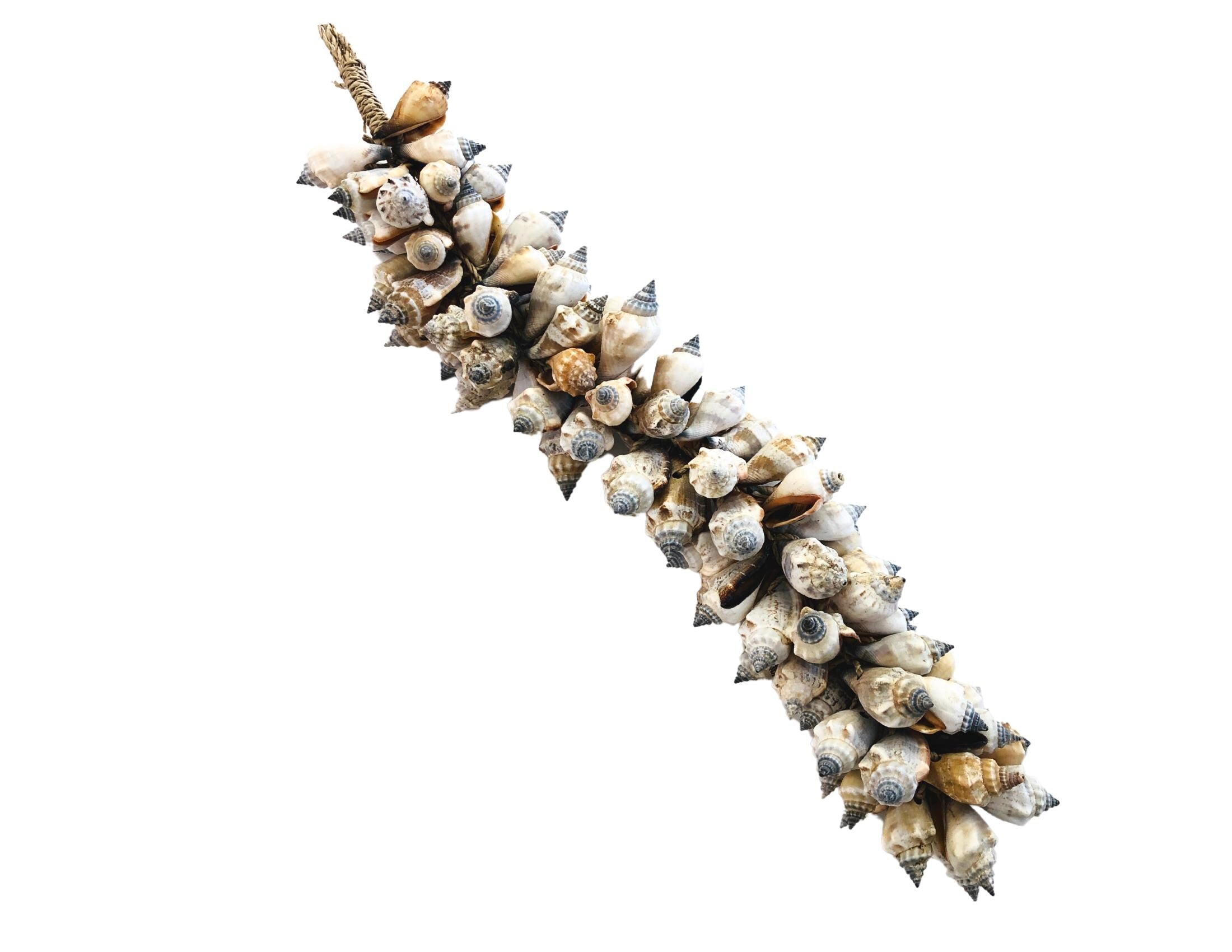 Muscheln | maritime Hängedeko Muscheldeko | Muschel-Hängedeko | Maritime Wanddeko | Deko aus echten Muscheln – ca. 33 cm