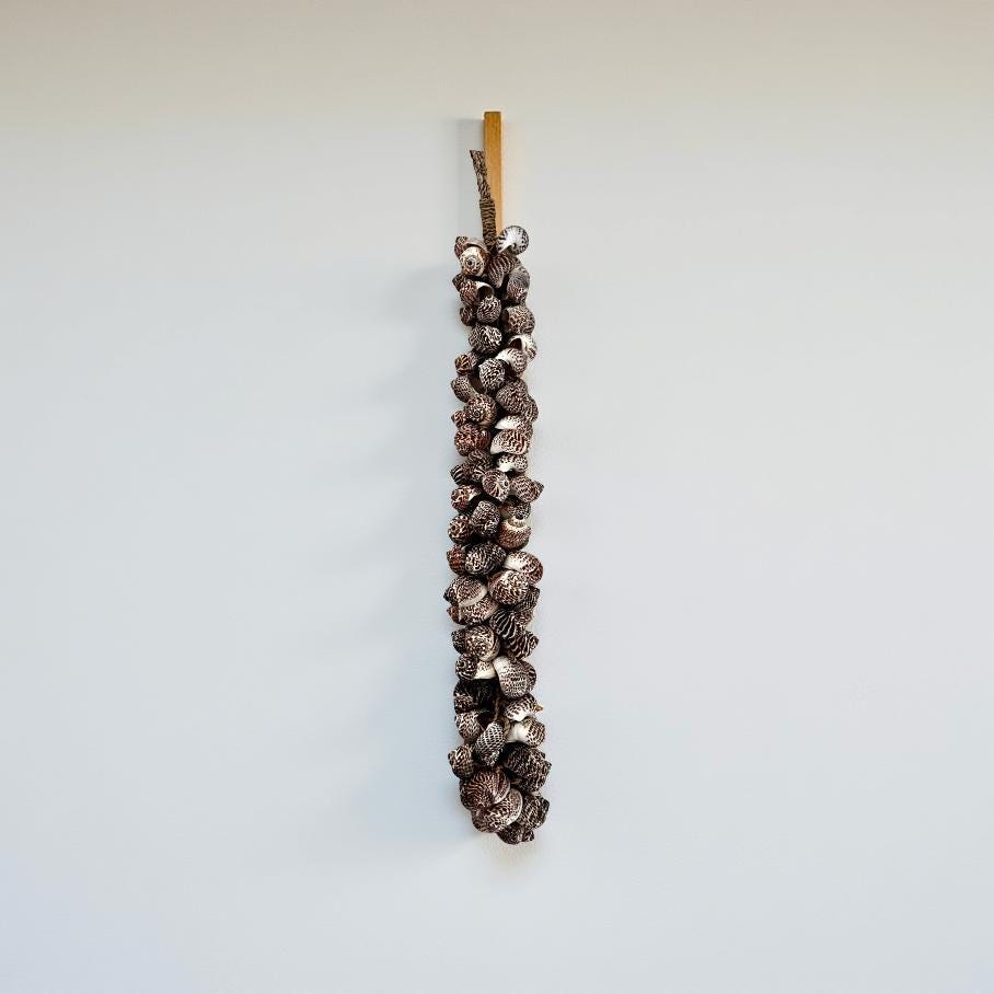 Muscheln | maritime Hängedeko Muscheldeko | Muschel-Hängedeko | Maritime Wanddeko | Deko aus echten Muscheln – ca. 33 cm