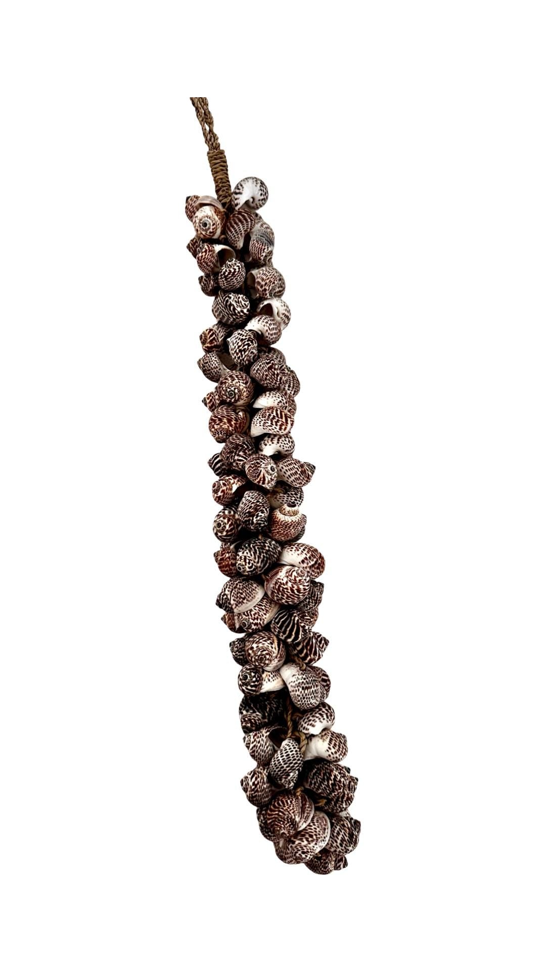 Muscheln | maritime Hängedeko Muscheldeko | Muschel-Hängedeko | Maritime Wanddeko | Deko aus echten Muscheln – ca. 33 cm
