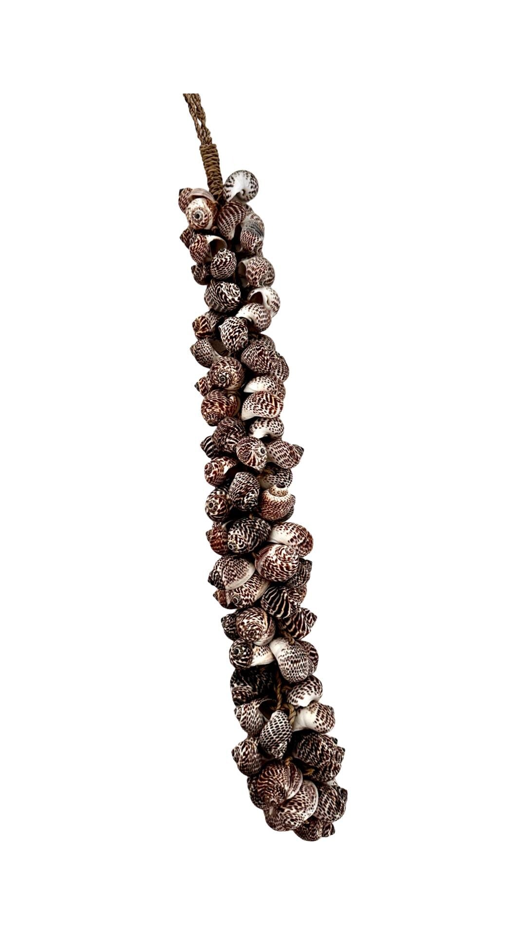 Muscheln | maritime Hängedeko Muscheldeko | Muschel-Hängedeko | Maritime Wanddeko | Deko aus echten Muscheln – ca. 33 cm