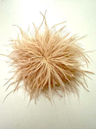 Federbrosche | Brosche Federn | Anstecknadel und Clip | Federball zum Anstecken | viele Farben