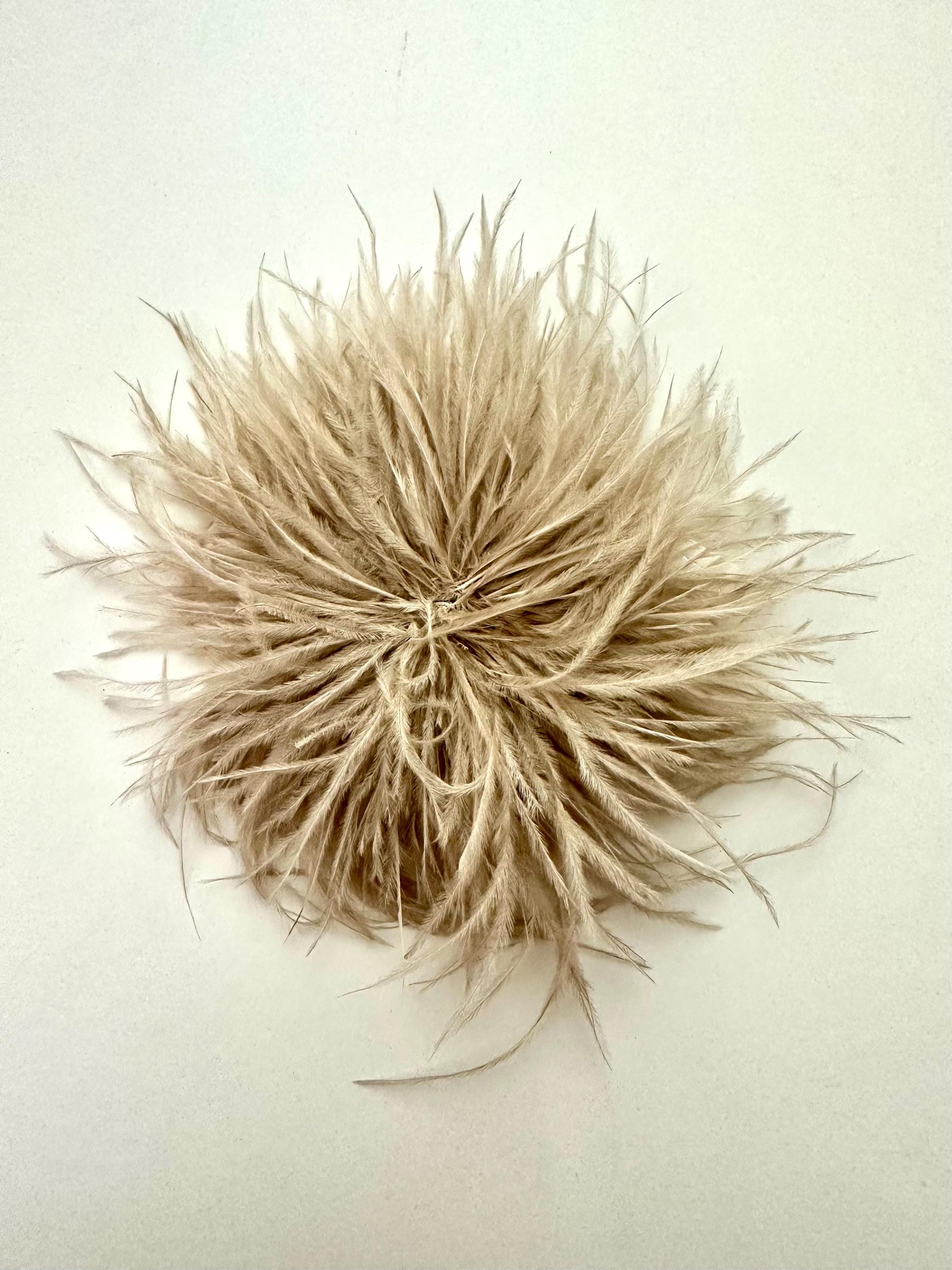 Federbrosche | Brosche Federn | Anstecknadel und Clip | Federball zum Anstecken | viele Farben