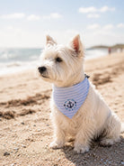 Maritimes Hundehalstuch "Sylt" | hellblau oder rosa | Hunde Bandana aus Baumwolle | wird am Halsband befestigt