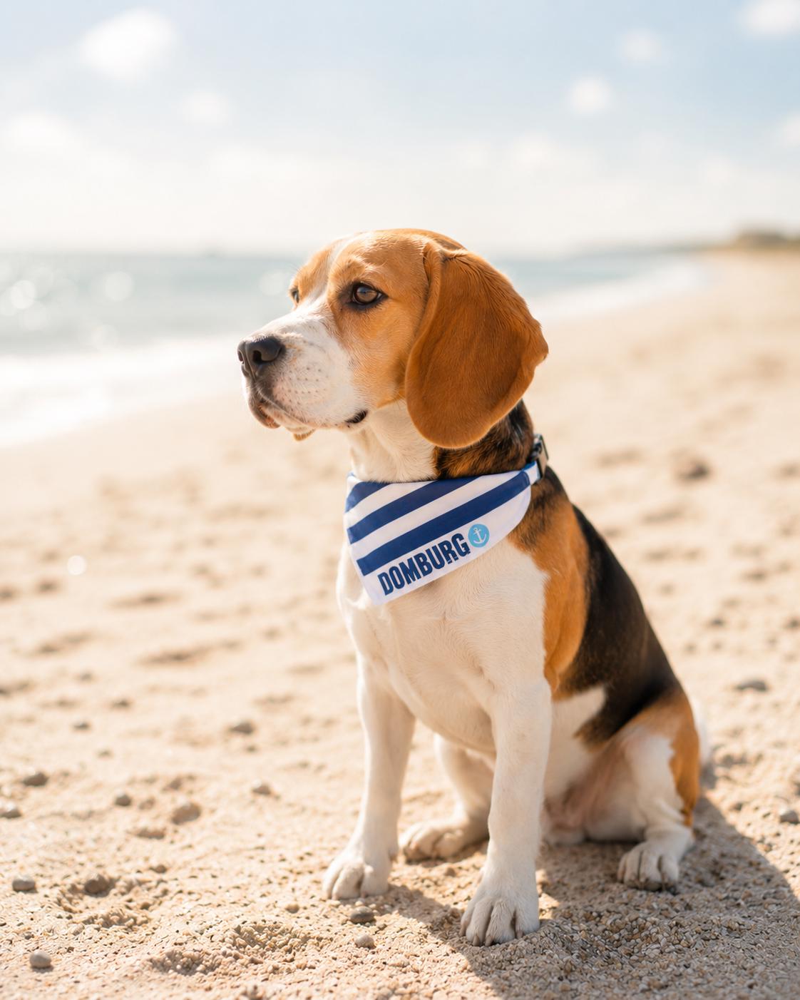 Maritimes Hundehalstuch Domburg | gestreift | Hunde Bandana aus Baumwolle | wird übers Halsband gestreift
