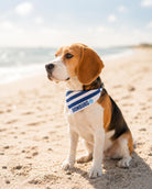 Maritimes Hundehalstuch Domburg | gestreift | Hunde Bandana aus Baumwolle | wird übers Halsband gestreift