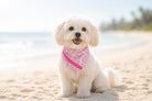 Weiß pinkes Hunde Halstuch | Bandana zum Wenden | Ethnomuster | Dreieckstuch zum Binden | Samtband | Gr. S