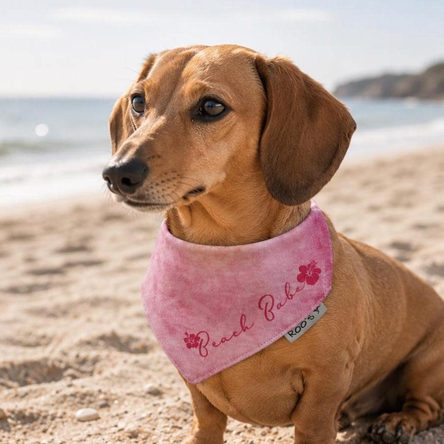 Hundehalstuch "Beach Babe" | pink | Hunde Bandana
