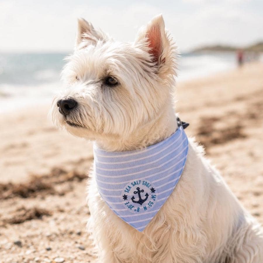 Maritimes Hundehalstuch "Sylt" | hellblau oder rosa | Hunde Bandana aus Baumwolle | wird am Halsband befestigt