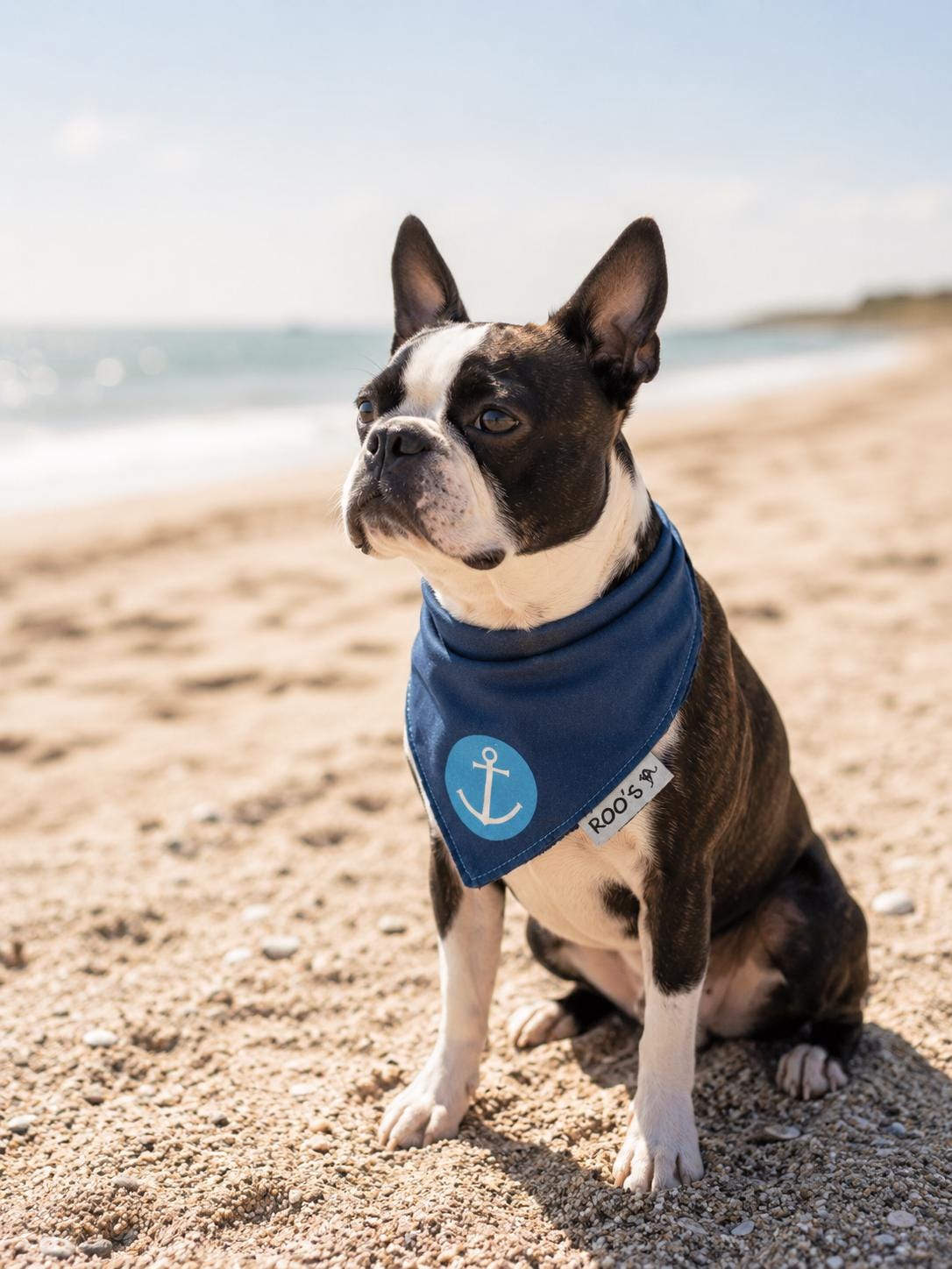 Maritimes Hundehalstuch mit Anker | dunkelblau mit türkis | Hunde Bandana aus Baumwolle | wird am Halsband befestigt
