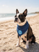 Maritimes Hundehalstuch mit Anker | dunkelblau mit türkis | Hunde Bandana aus Baumwolle | wird am Halsband befestigt