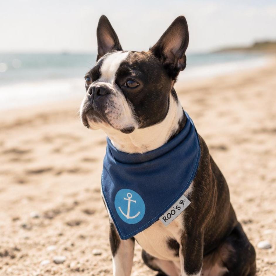 Maritimes Hundehalstuch mit Anker | dunkelblau mit türkis | Hunde Bandana aus Baumwolle | wird am Halsband befestigt