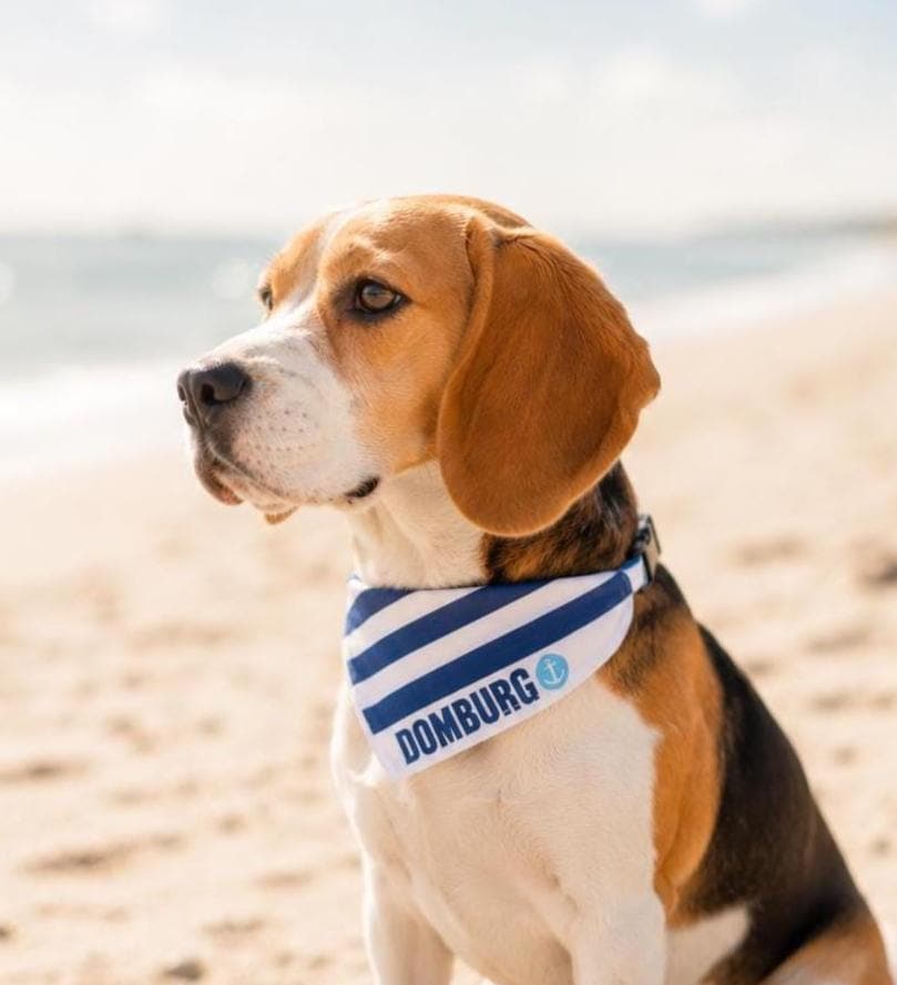 Maritimes Hundehalstuch Domburg | gestreift | Hunde Bandana aus Baumwolle | wird übers Halsband gestreift